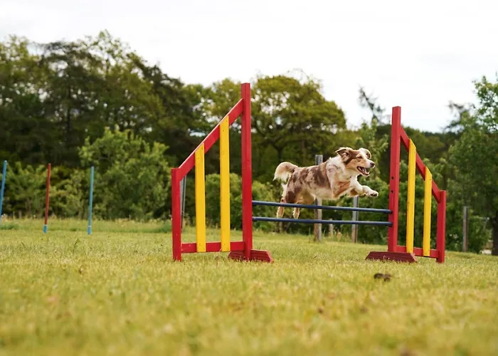 Hof Koehne - Haus Am Spielplatz - Taube Apartment *