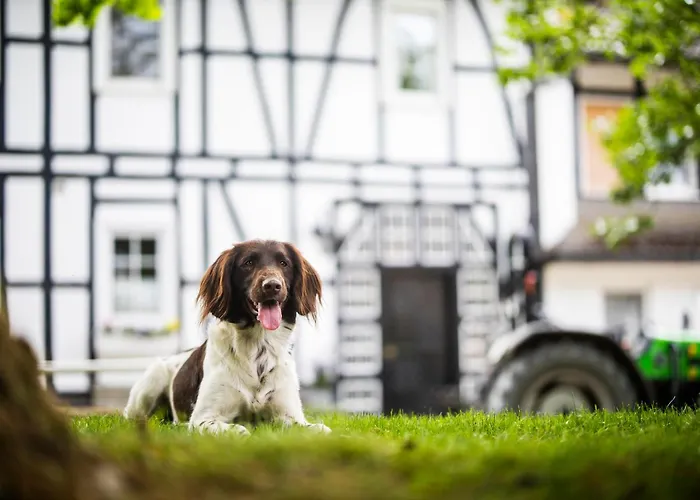 Hof Koehne - Haus Am Spielplatz - Taube Apartment Schmallenberg