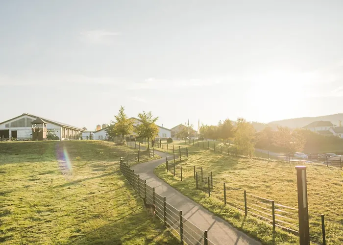 Hof Koehne - Haus Am Spielplatz - Taube Apartment Schmallenberg