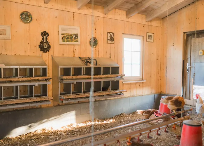 Apartment Hof Koehne - Haus Am Spielplatz - Taube *