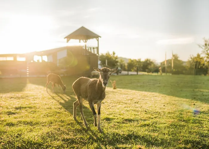 Apartment Hof Koehne - Haus Am Spielplatz - Taube *